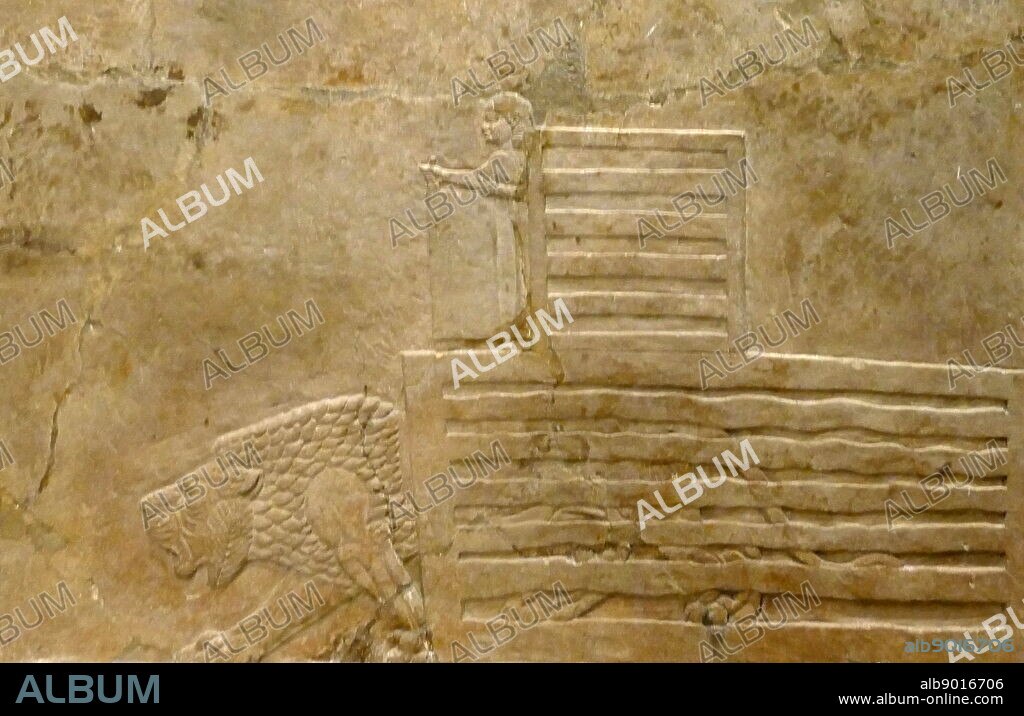 Assyrian wall relief depicting a lion released from a cage during the royal lion hunt. Assyrian, about 645-635 BC From Nineveh, North Palace.