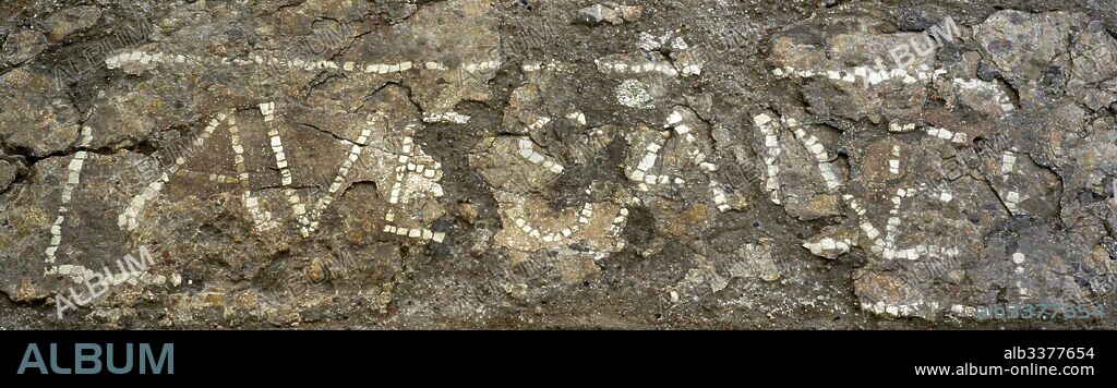 Fragmento de pavimento con inscripcion de bienvenida. Epoca altoimperial. Fragmento de un pavimento de Opus signinum, con el epígrafe "Ave Salve". Cantera del Puerto. Tarragona. Museo Nacional Arqueológico. Tarragona. Cataluña. España. Fragment pavement of opus signinum. Welcome registration. Epigraph: Ave salve. Port quarry, Tarragona, Spain. National Archaeological Museum. Tarragona. Spain.