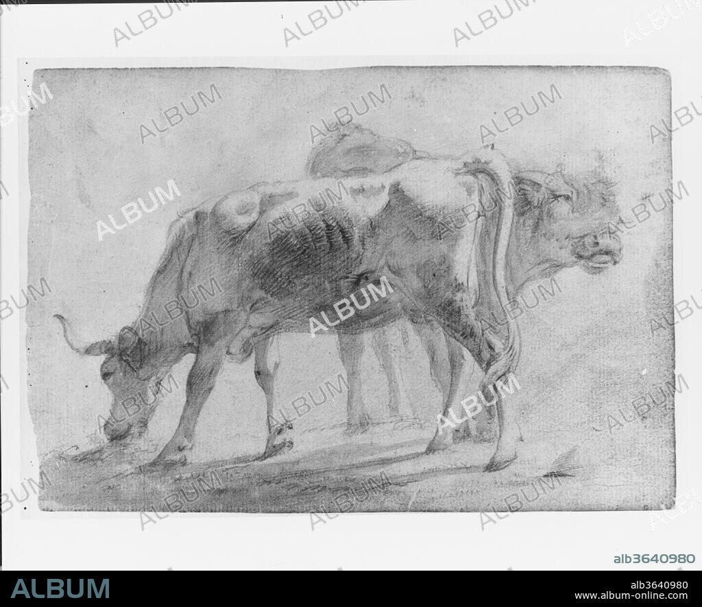 JR. CHARLES CATTON. Cattle (from McGuire Scrapbook). Artist: Charles Catton, Jr. (British, London 1756-1819 New Paltz, New York). Dimensions: 5 5/8 x 8 3/8 in. (14.3 x 21.3 cm). Date: 1756-1819.
