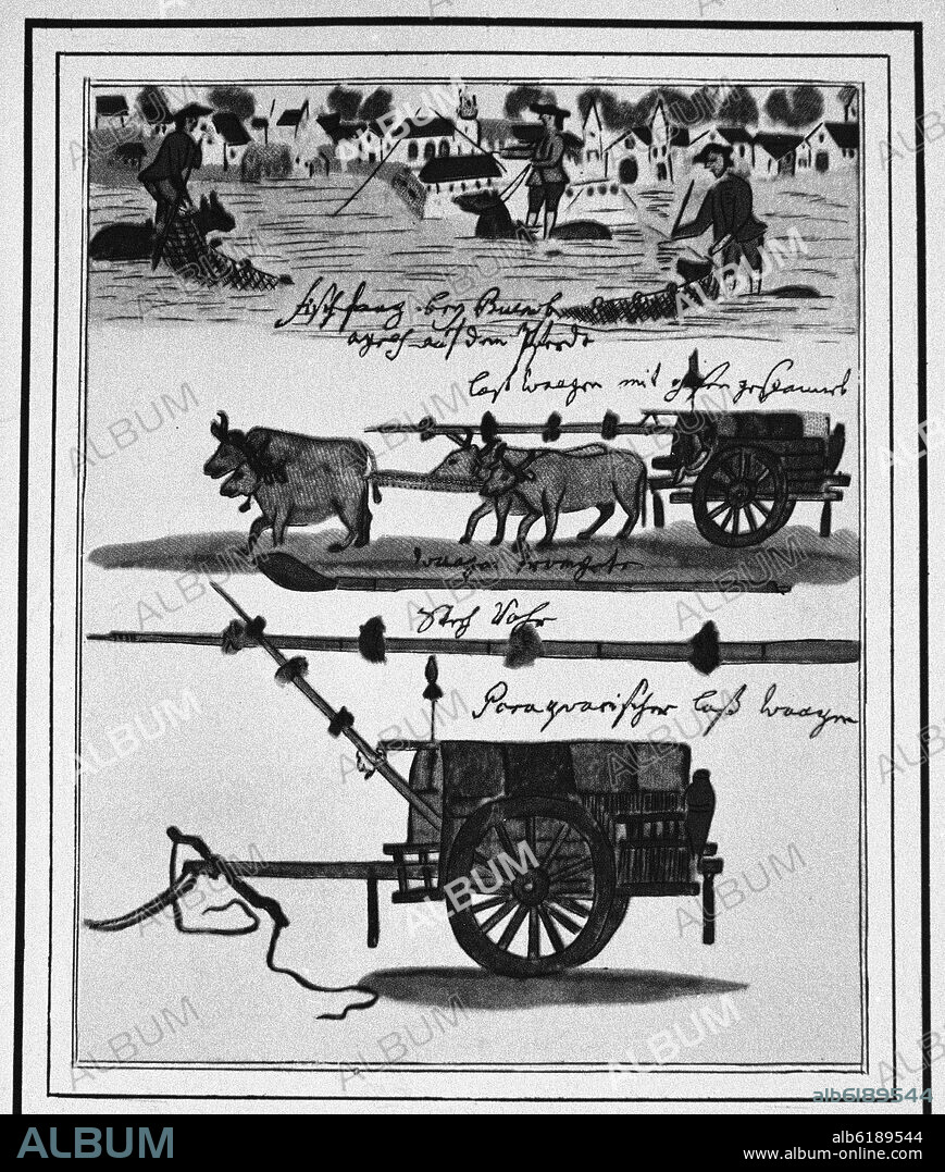 FLORIAN PAUCKE (1719-1780). ARGENTINA COLONIAL - ACUARELA SIGLO XVIII - FOTOGRAFIA EN BLANCO Y NEGRO.