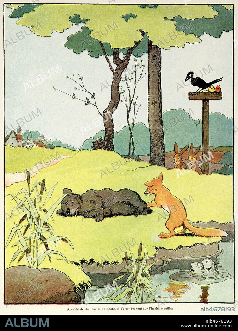 Accable de douleur et de honte apres avoir eu le museau coince dans le tronc d'arbre, Brun l'ours s'etait evanoui sur l'herbe mouillee. Illustration de1909 par Benjamin RABIER (1864-1939) pour Le Roman du Renard. Credit : Collection Grob/KHARBINE-TAPABOR.