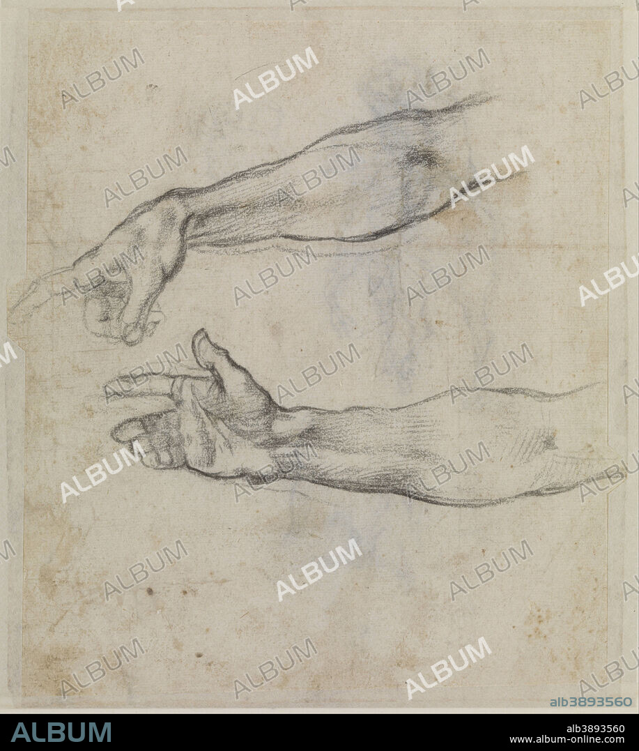 MIGUEL ANGEL. Studies of an outstretched arm for the fresco 'The Drunkenness of Noah' in the Sistine Chapel. Date/Period: Ca. 1508 - 1509. Drawing. Black chalk on paper. Height: 205 mm (8.07 in); Width: 160 mm (6.29 in).