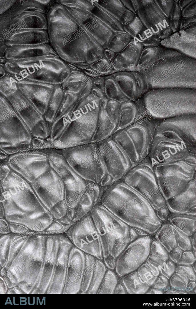 Rayleigh-Benard convection cells. Photograph of a thin layer of vegetable oil mixed with aluminum powder and heated gently on a hotplate. Benard cells are convection cells that appear spontaneously in a liquid layer when heat is applied from below. Henri Benard, a French physicist, was the first to conduct this experiment which illustrates the theory of dissipative structures.