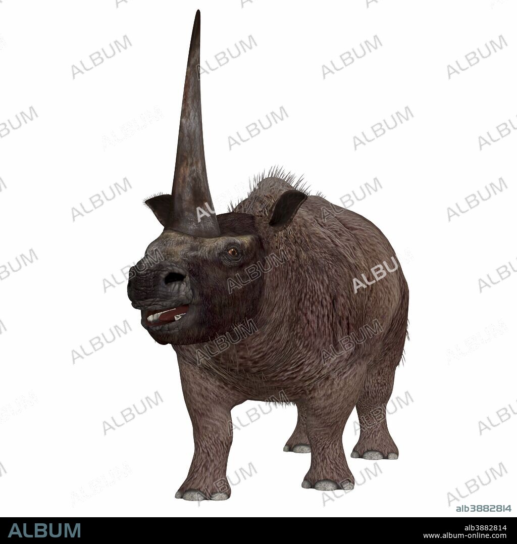 Elasmotherium is an extinct mammal that lived in the Pleistocene Period of Russia, Ukraine, and Moldova.