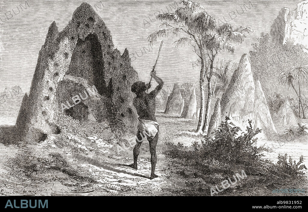 Gabriel de Clieu and the coffee plant seedling. De Clieu arranged to transport a coffee plant from the greenhouses of the Jardin royal des plantes to Martinique in 1720, water was rationed on the voyage and he shared his ration with the seedling. Gabriel-Mathieu Francois D'ceus de Clieu,c. 1687 1774. French naval officer and the governor of Guadeloupe from 1737 to 1752 and the founder of Pointe-à-Pitre. From Le Savant du Foyer ou Notions Scientifiques Sur Les Objets Usuels de la Vie, published 1864.