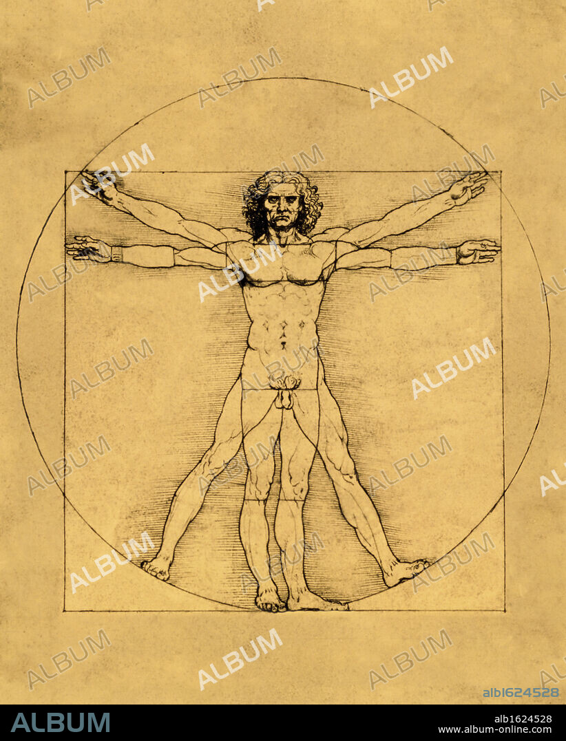 Proportions of the Human Figure (Vitruvian Man)  ca. 1485-1490  Leonardo da Vinci (1452-1519 Italian)   Pen and ink   Galleria dell'Accademia, Venice, Italy.