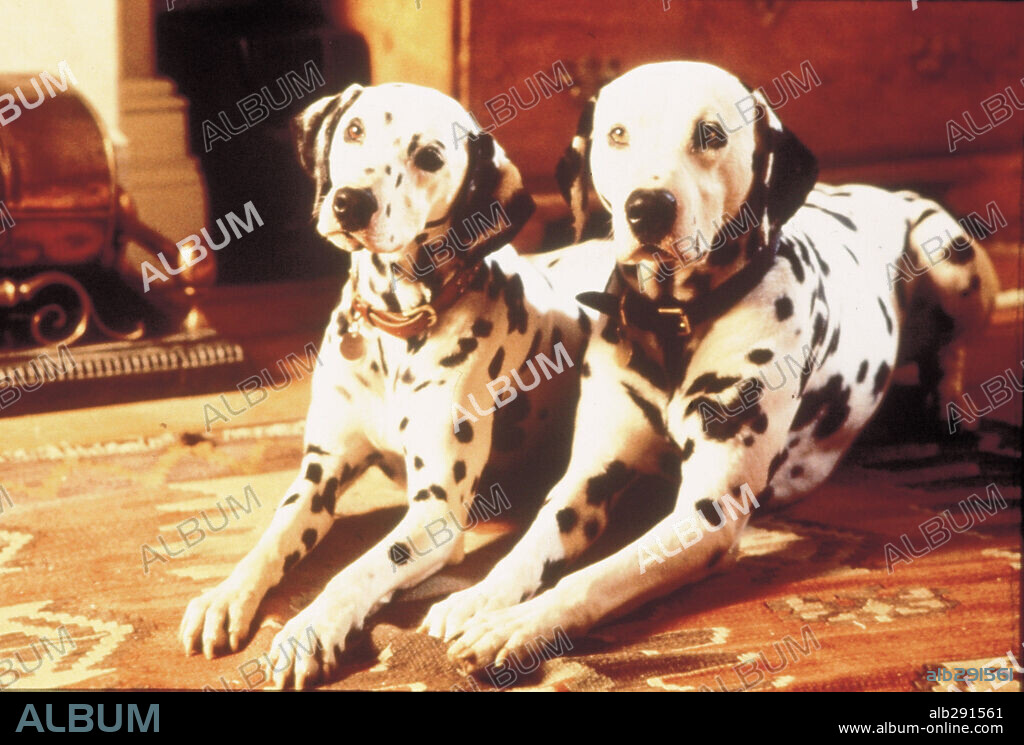 101 DÁLMATAS, MÁS VIVOS QUE NUNCA, 1996 (101 DALMATIANS), dirigida por STEPHEN HEREK. Copyright WALT DISNEY PRODUCTIONS / COOTE, CLIVE.