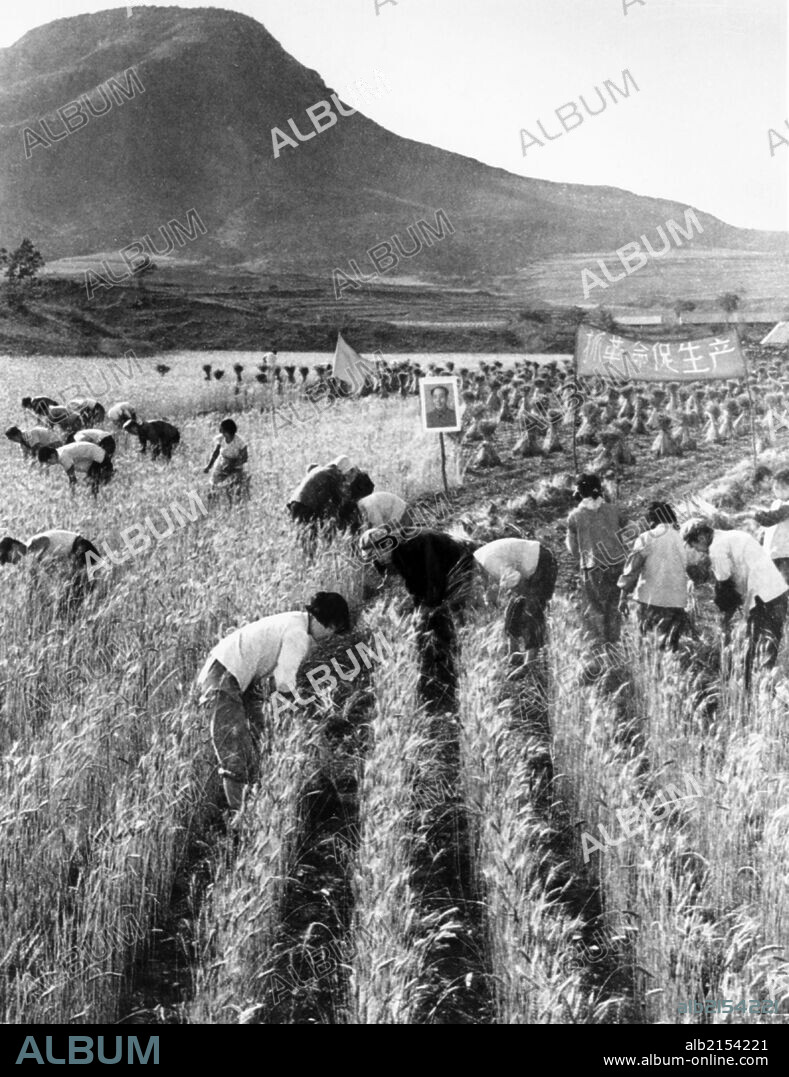 Girls helping to harvest wheat at the Wanli Commune, Northeastern Province of Liaoning, China. 1968. (Photo by: Sovfoto/UIG via Getty Images).