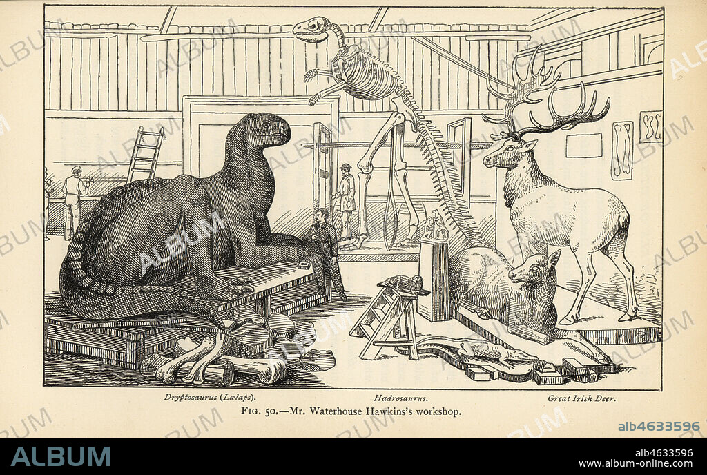 Benjamin Waterhouse Hawkins workshop of dinosaur models. Reconstructions of a Dryptosaurus aquilunguis, Hadrosaurus foulkii and Great Irish Deer, Megaloceros giganteus. Engraving after an illustration by Joseph Smit from Henry Neville Hutchinsons Creatures of Other Days, Popular Studies in Palaeontology, Chapman and Hall, London, 1896.