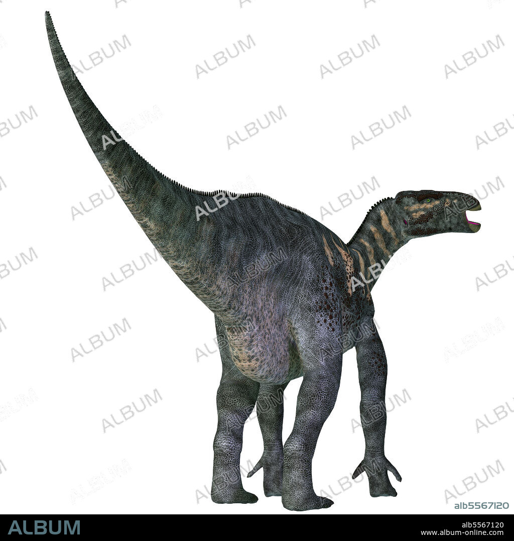 Iguanodon dinosaur. Iguanodon was a herbivorous ornithopod dinosaur that lived in Europe during the Cretaceous Period.