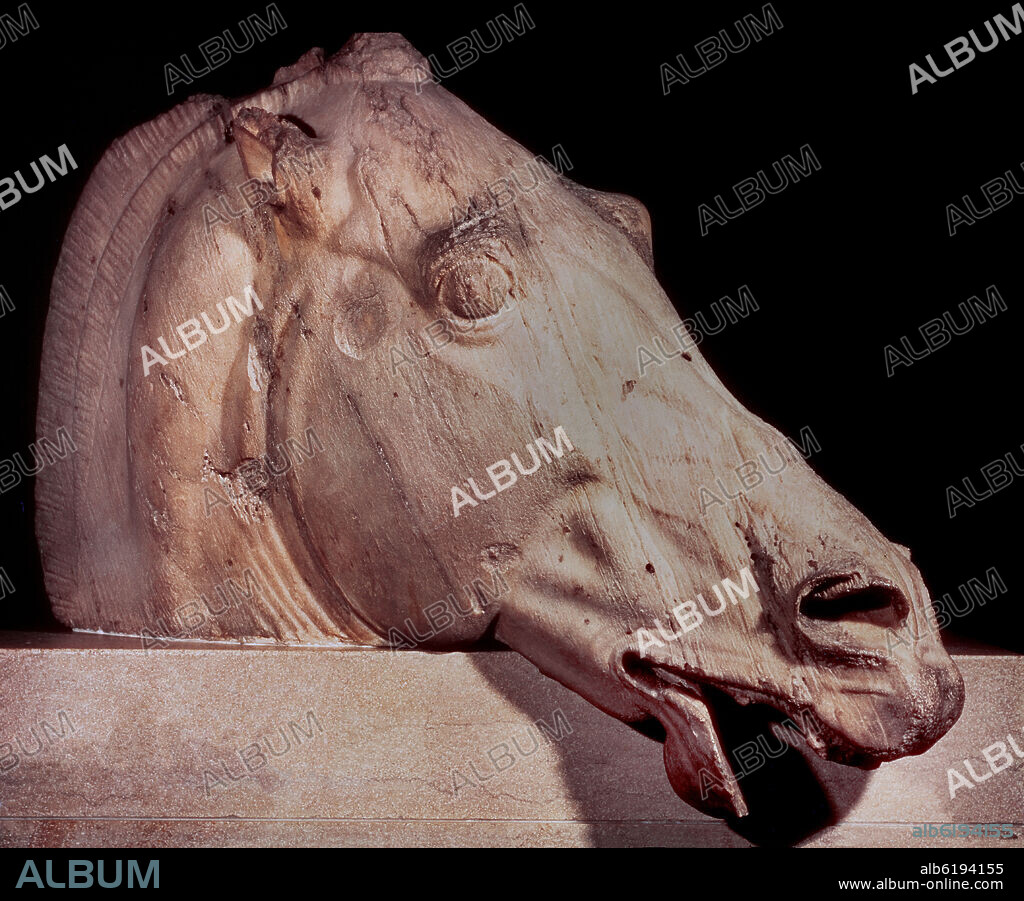 FIDIAS. *CABEZA DE CABALLO 447 AC-DETALLE DEL FRISO DEL PARTENON.