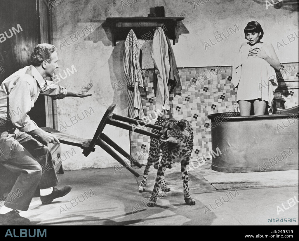 ELSA MARTINELLI y RED BUTTONS en HATARI!, 1962, dirigida por HOWARD HAWKS. Copyright PARAMOUNT PICTURES.