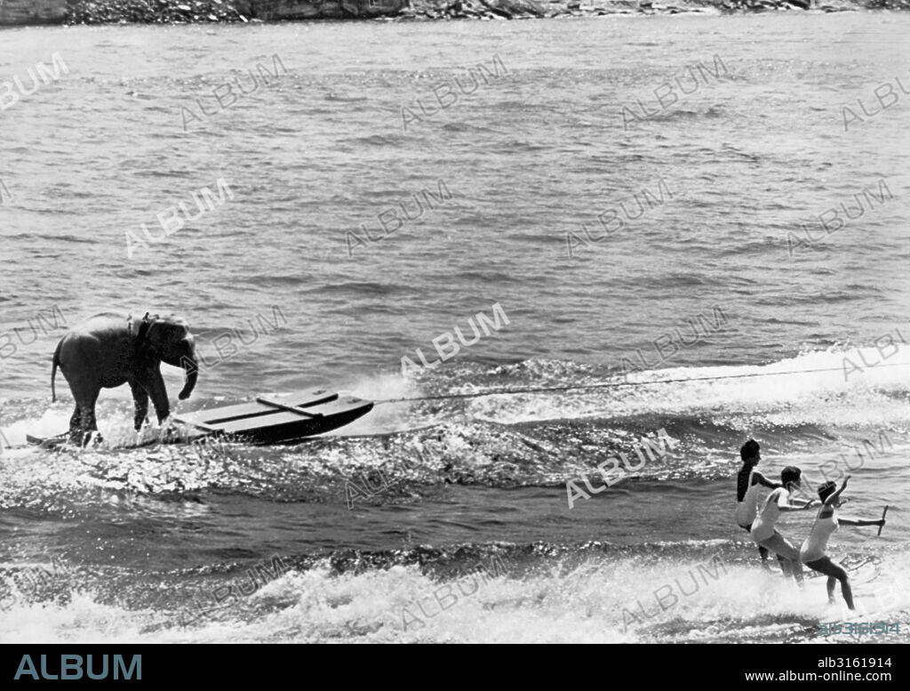 Portland, Oregon: May, 1961. An elephant water skis alongside three women on the Willamette River as part of a publicity stunt for a circus.