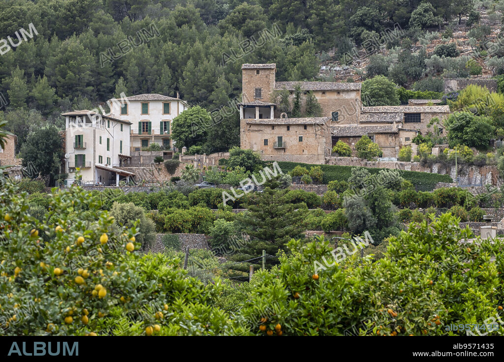 Binibassí, Soller valley route, Mallorca, Balearic Islands, Spain.