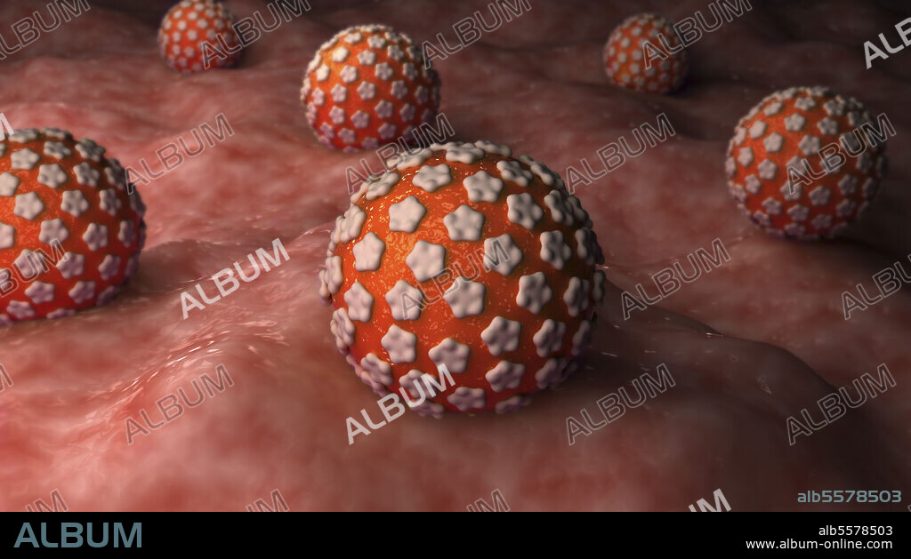 Conceptual biomedical illustration of genital warts on surface.