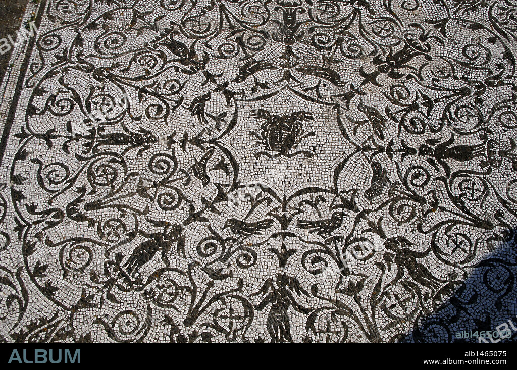 ARTE ROMANO. ITALIA. Detalle de un MOSAICO en blanco y negro decorado con motivos florales. Ubicado en la CASA DE BACO, construida en época Adriana. Siglos I-II d. C. Antigua ciudad romana de OSTIA ANTICA. Alrededores Roma. Italia. Europa.
