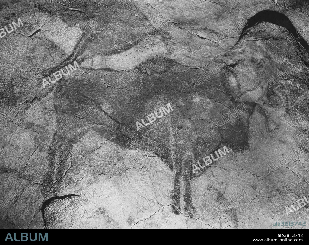 Prehistoric cave paintings in Altamira, Spain. The paintings in the palaeolithic caves were discovered in 1868 by hunter, Modesto Peres.