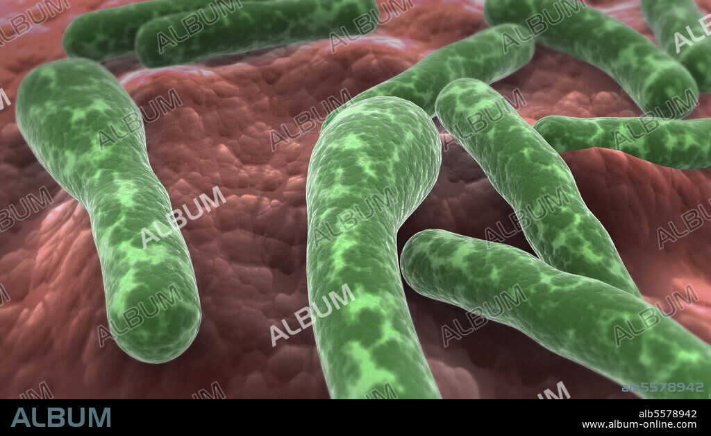 Microscopic view of Clostridium botulinum bacteria.