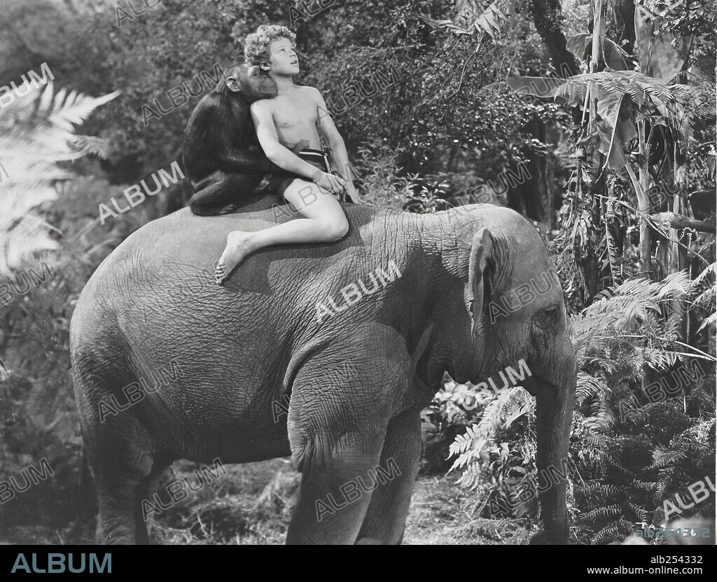 TARZÁN EL TEMERARIO, 1943 (TARZAN'S DESERT MYSTERY), dirigida por WILHELM THIELE. Copyright RKO.