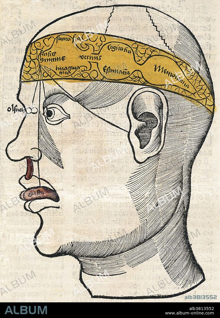 Human head attempts to link local areas of the brain with its different functions, including cognition and memory. The text surrounding the image describes treatments for alopecia, hair disease, and hair loss. Brunschwig's Liber de arte distillandi simplicia et composita (Little Book of Distillation) was one of the earliest books ever written concerning the subjects of chemistry and pharmacology. Printed in Strasbourg in 1512, it is a practical manual on chemical, alchemical, and distillation devices and techniques used to manufacture drug therapies. It includes instructions on how to distill aqua vitae, potable gold, artificial and natural balsams and how to use distillates to treat illnesses in surgical cases. The last of the 16th century herbals, this book is widely regarded to be an important link between the Middle Ages and modern times. Hieronymus Brunschwig (1450 - 1512), was a German physician, surgeon, chemist, and pharmacologist. He was notable for his early work on chemical techniques, as well as his methods of treatment of gunshot wounds. He died in 1512 at the age of 61 or 62.