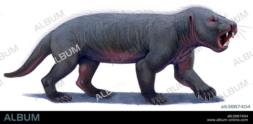 Kayentatherium, a mammal-like tritylodont from the Kayenta Formation of Northern Arizona. Acrylic painting.