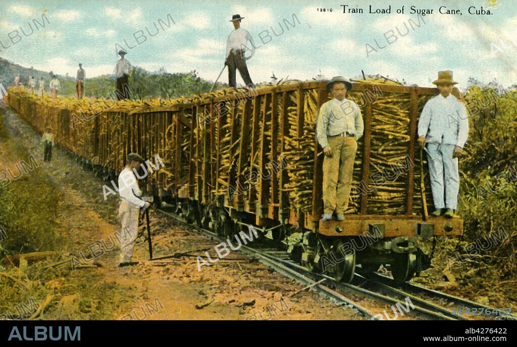 'Train Load of Sugar Cane, Cuba', c1910s. Sugar cane loaded onto open wagons for transport to a refinery. Postcard.