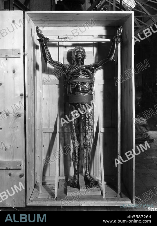 Medizin / Anatomie:. "Der gläserne Mensch" in seiner Transportkiste (Exponat auf der Pariser Weltausstellung 1937). Foto, undat.