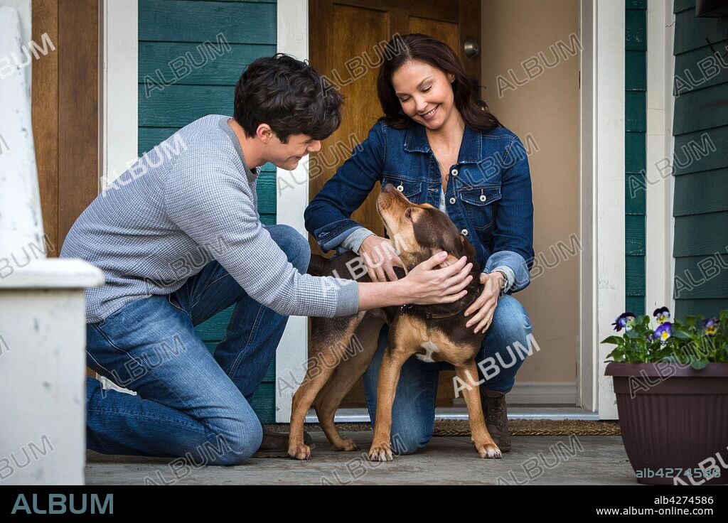ASHLEY JUDD and JONAH HAUER-KING in A DOG'S WAY HOME, 2019, directed by CHARLES MARTIN SMITH. Copyright COLUMBIA PICTURES.