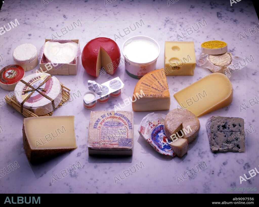French Cheese. Roquefort. Reblochon. Port Salut. Pont l'Eveque. Petit Suisse. Monsieur. Gruyere. Gouda. Fromage Blanc. Excelsior. Emmenthal. Edam. Coeur a la creme. Coulommiers.