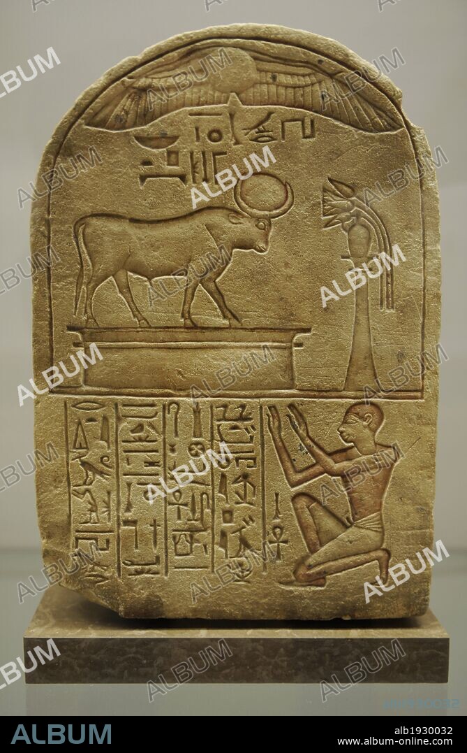 ARTE EGIPCIO. EGIPTO. ESTELA dedicada al MNEVI, toro sagrado de la Ciudad de Heliópolis, que representaba al Ra-Atum. Oferente el lavandero Ipi. Pieza procedente probablemente de Heliopolis. Caliza. Dinastía XIX. Imperio Nuevo. Museo Carlsberg Glyptotek. Copenhague. Dinamarca. Europa.