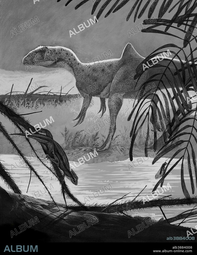 Concavenator corcovatus searching for prey on the shore of a lake at the konservat lagerstatten preserve of Las Hoyas, Spain. In the foreground, other fossils founded in this fossilsite: Scandensia ciervensis (an arboreal reptile), Allopterus mayorgai (Neuroptera), and a Cupedid Coleoptera. Barremian Stage, Early Cretaceous Period.