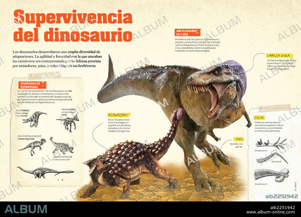 Survival of the dinosaurs. Infographics showing the detailed physical characteristics that allowed dinosaurs to defend themselves from their enemies.