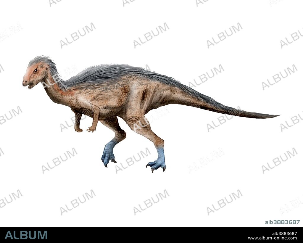 Dryosaurus dinosaur, white background.
