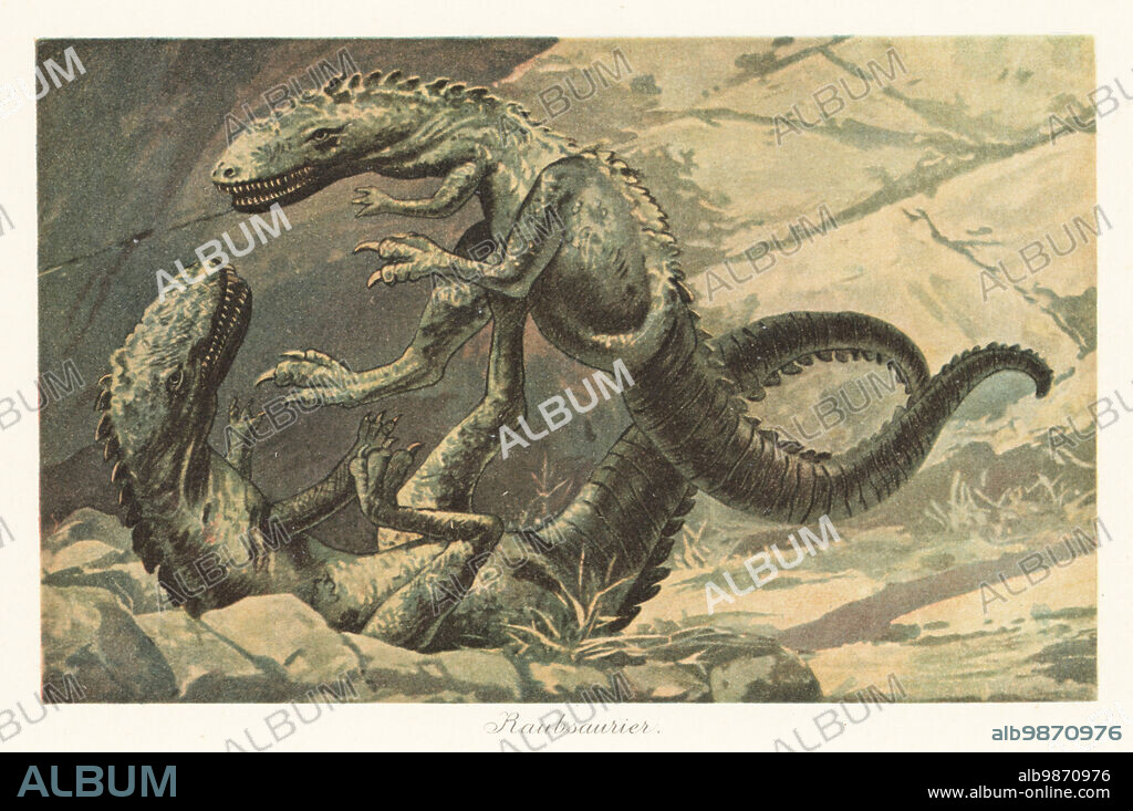 Reconstruction of two dinosaurs in battle. Dryptosaurus aquilunguis, extinct species of tyrannosauroid that lived during the latter Cretaceous. Laelaps aquilunguis Cope. (Kanguruh-Dinosaurier) im Kampf. Raubsaurier. Colour printed illustration by F. John from Wilhelm Bolsches Tiere der Urwelt (Animals of the Prehistoric World), Reichardt Cocoa company, Hamburg, 1908.