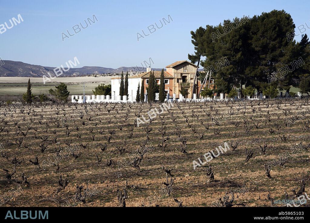 Fontanars dels Alforins; viñedos / bodega camino a Moixent.