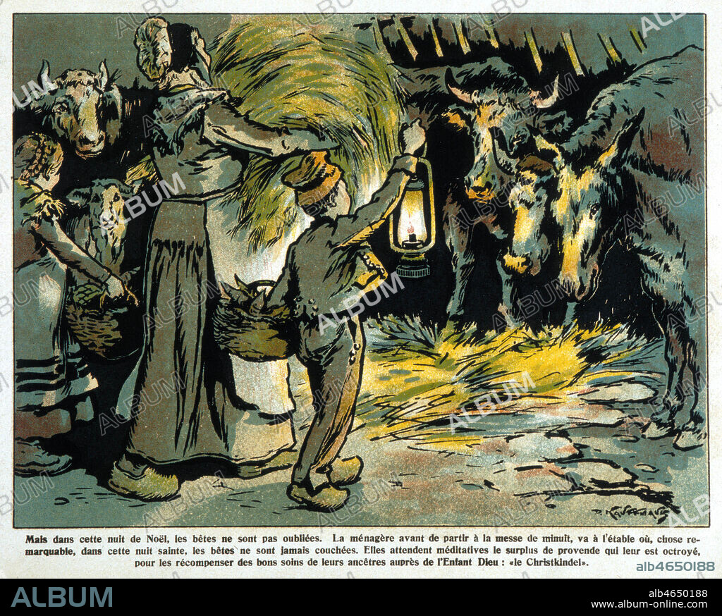 Noel en Alsace. 'Mais dans cette nuit de Noel les betes ne sont pas oubliees. La menagere avant de partir a la messe de minuit, va a l'etable ou, chose remarquable, dans cette nuit sainte, les betes ne sont jamais couchees. Elles attendent, meditatives le surplus de provende qui leur est octroye pour les recompenser des bons soins de leurs ancetres aupres de l'Enfant Dieu: le Christkindel.' Tradition paysanne alsacienne. Illustration de Paul KAUFFMANN (1849-1940) vers 1910. Credit: Coll. Kharbine Tapabor.