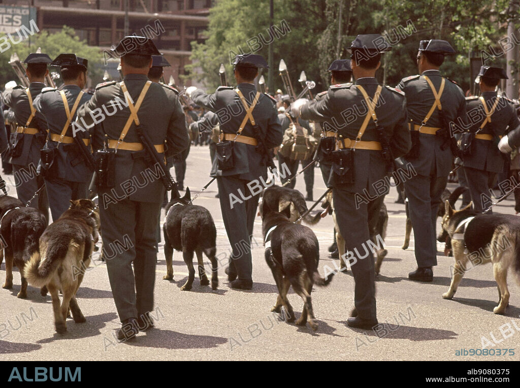 GUARDIA CIVIL CON PERROS - FOTO AÑOS 60.