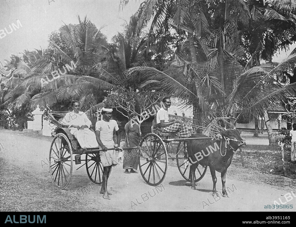 'Rickshaw and Racing Hackery', c1890, (1910). From The Hundred Best Views of Ceylon. [Plâté Ltd, Colombo, Kandy & Nuwara Eliya, 1910].