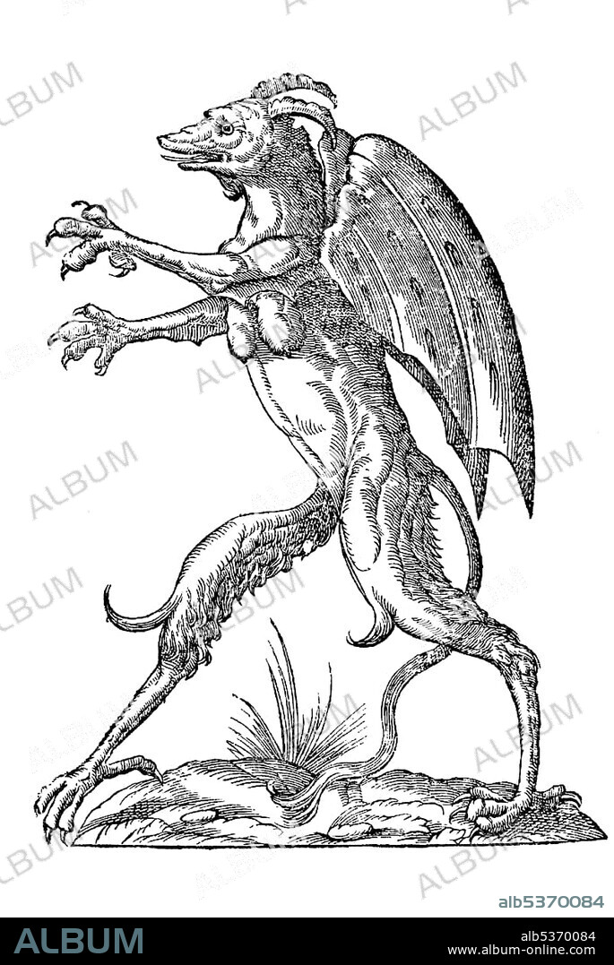 Woodcut, Monstrum alatum et cornutum instar cacodaemonis, winged, horned monster, like an evil demon with wings, Aldrovandi, Historia Monstrorum, 1642, Renaissance