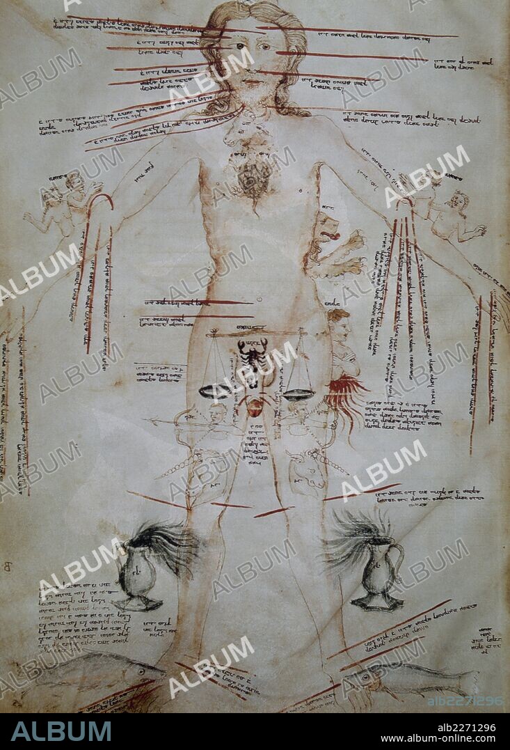 Zodiac Man or Man of Signs. It depicts a roughly consistent correlation of zodiacal names with body human parts. Hebrew work. Medieval era. 14th century.