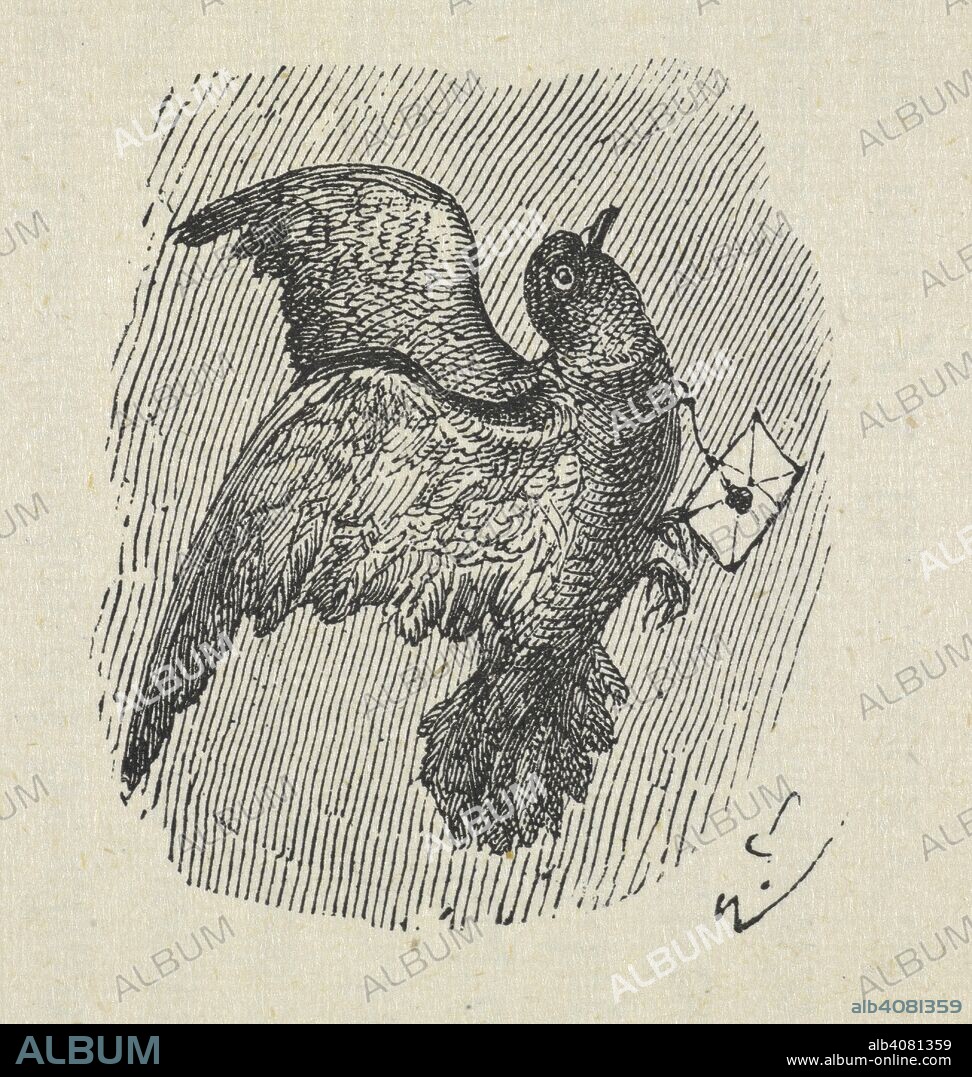 OF BROCKLEY. ROBERT FULTON. A carrier pigeon. The Illustrated Book of Pigeons ... Edited by L. Wright ... Illustrated with fifty life-like coloured plates, from paintings by J. W. Ludlow. London, [1874-76]. Source: 7295.h.1 page 288 detail.