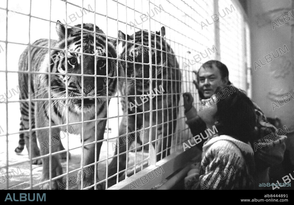 KOLMÅRDEN 1983-03-19. Naturfilmaren Jan Lindblad och hustrun Pia Thörn med sina tigrar Lilian och Rani, som de tagit med från en expedition i Indien. Foto: Per Kagrell / EXP / TT / kod 26. ** AFTONBLADET OUT **.