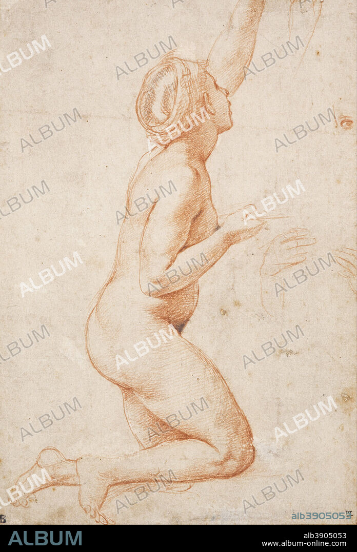 RAPHAEL. A Kneeling Nude Woman with her Left Arm Raised. Date/Period: 1518. Drawing. Red chalk, with touches of black chalk, over stylus underdrawing on off-white paper. Height: 279 mm (10.98 in); Width: 187 mm (7.36 in).