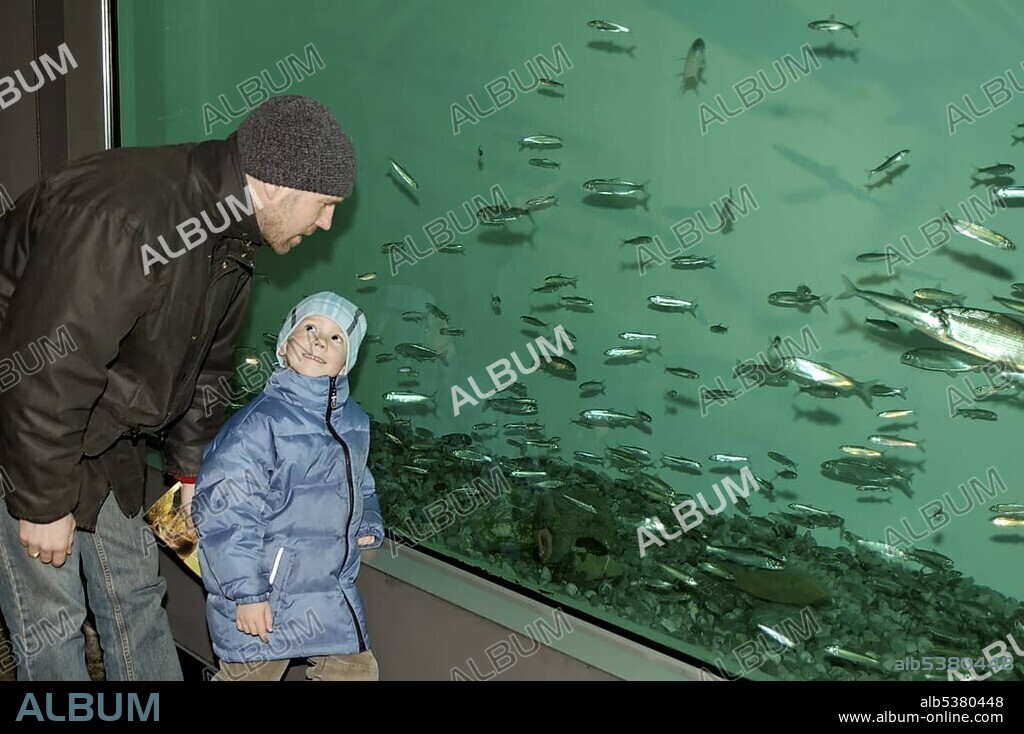 Bad Wiessee at the Tegernsee Uper Bavaria Germany Aquadome Sweetwater fish Aquarium.