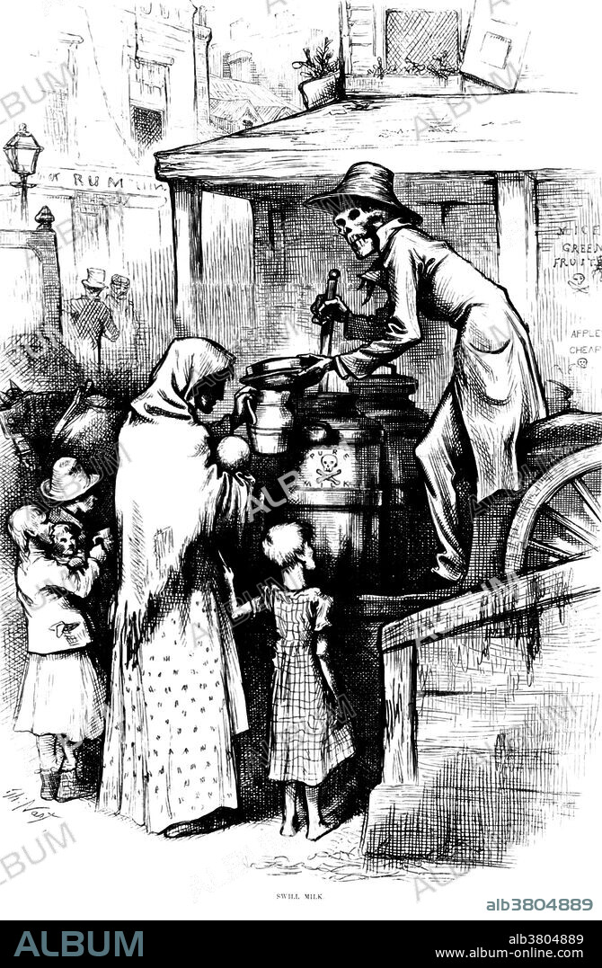 Entitled: "Food adulteration and inspection: Swill milk after Thomas Nast." Visual motif: Death dealing out contaminated milk to the poor in the street. The Swill milk scandal was a major adulterated food scandal in New York in the 1850s. The New York Times reported an estimate that 8,000 infants died one year from swill milk. The term swill milk comes from the fact that cows were fed swill which was residual mash from nearby distilleries. The milk was further whitened with plaster of Paris, thickened with starch, eggs and hued with molasses. After the extraction of alcohol from the macerated grain, the residual mash still contains nutrients, and therefore it was an economical advantage to keep cows stabled near distilleries and feed them with swill.