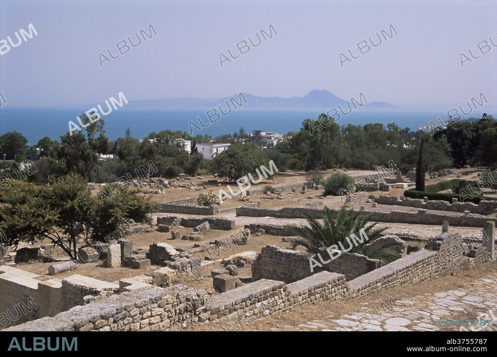 Remains of Roman villas, Carthage, UNESCO World Heritage Site, Tunisia, North Africa, Africa.