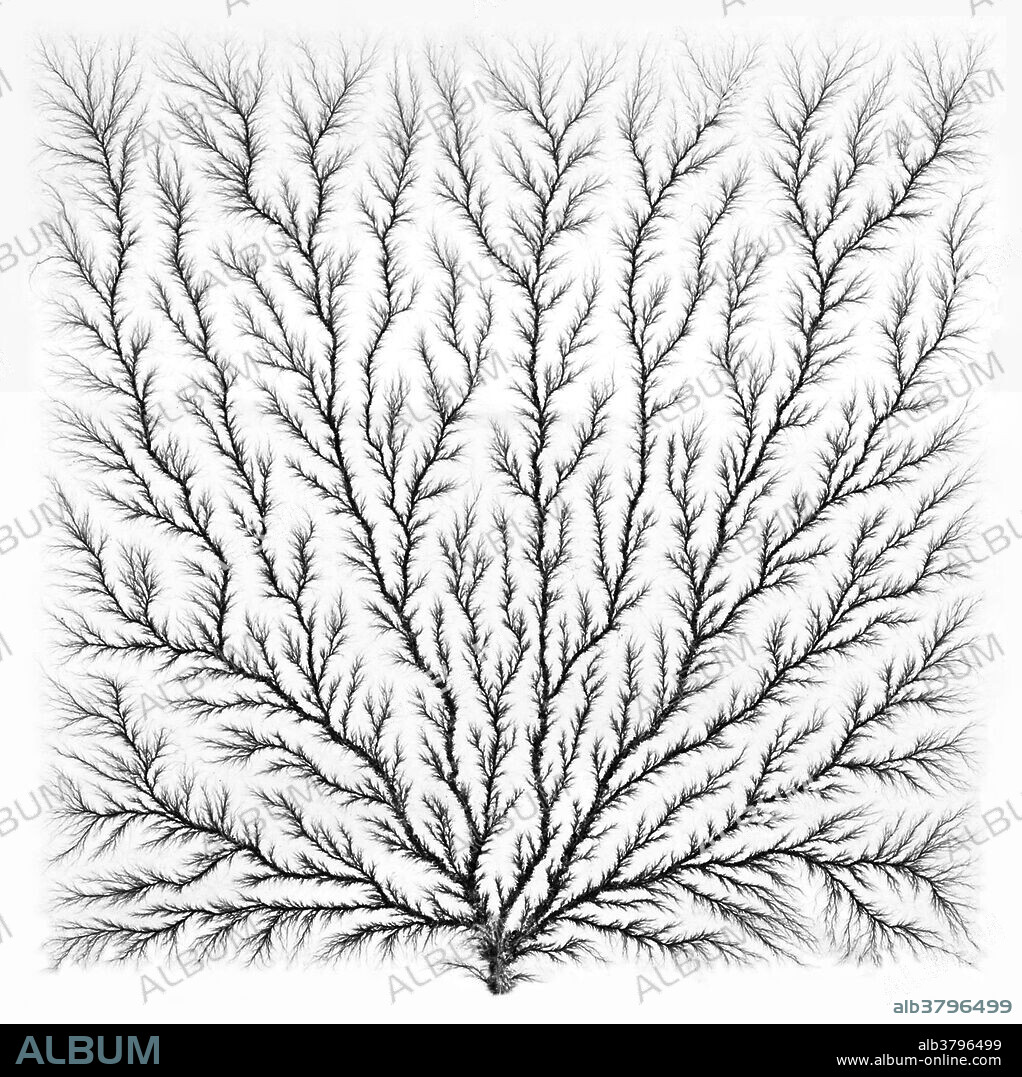 Lichtenberg figure, also known as an electron tree, beam tree, or lightning tree. Lichtenberg figures are branching electric discharges appearing on the surface or interior of an insulating material. This figure was created using an Electron Linear Accelerator (Linac), which delivered an electron beam aimed toward a thick block of acrylic. The electrons penetrate the surface of the acrylic, and rapidly decelerate as they collide with molecules inside the plastic, finally coming to rest. The pattern the electrons make in the acrylic as they rush out of the block looks like a tree, or fern-like structure. These figures can be found in the grass surrounding a lightning strike, and can also appear on the skin of lightning strike victims.