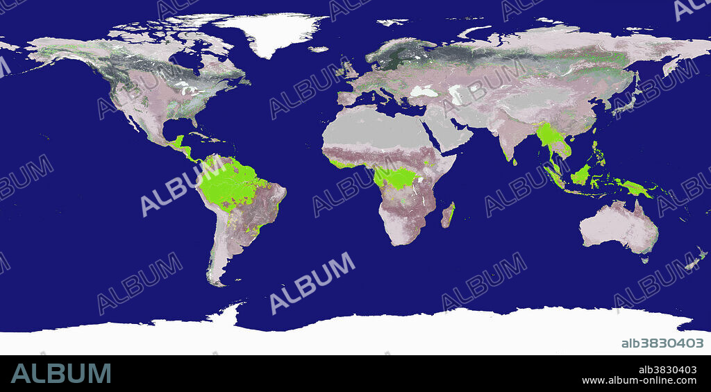 Map of the world with the approximate areas covered by tropical rainforests shaded lime green.