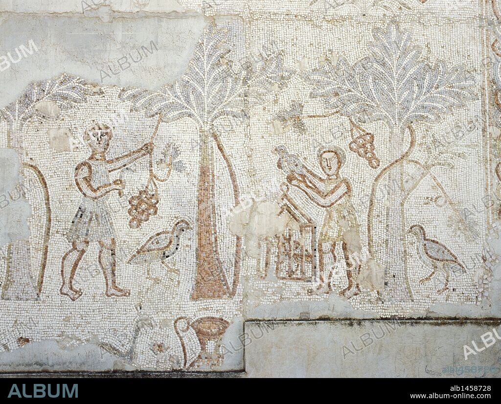 Roman Art. Syria. Farming. Collecting dates. Mosaic. Theatre of Bosra. 2nd century. Hauran region.