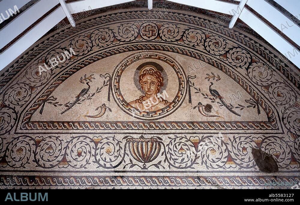 Bignor Roman Villa (West Sussex, Great Britain), floor mosaic. Detail: head of Venus. Photo by Florian Monheim.
